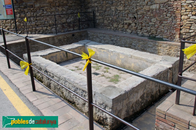 Palau-sator - Safareig