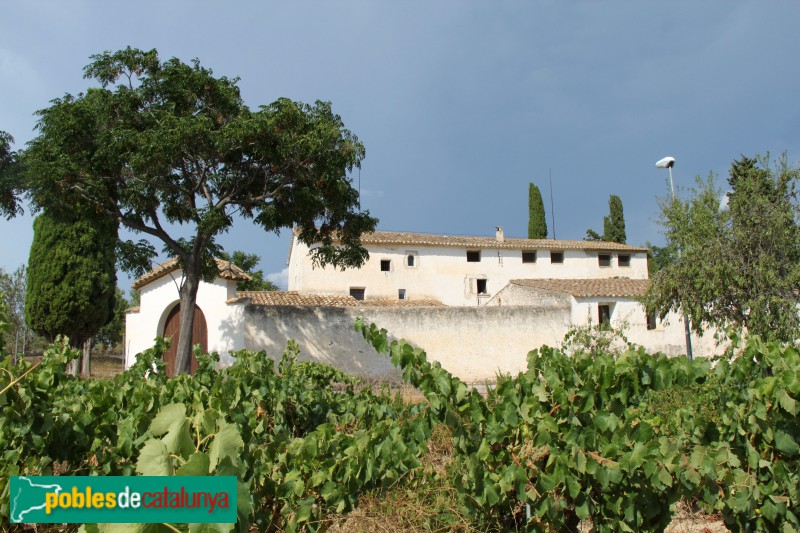 Banyeres del Penedès - Mas Canyís (Foto: Albert Esteves, 2018) Banyeres del Penedès - Mas Canyís