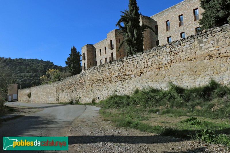 Vallbona de les Monges - Muralla (Foto: Albert Esteves, 2018) Vallbona de les Monges - Muralla