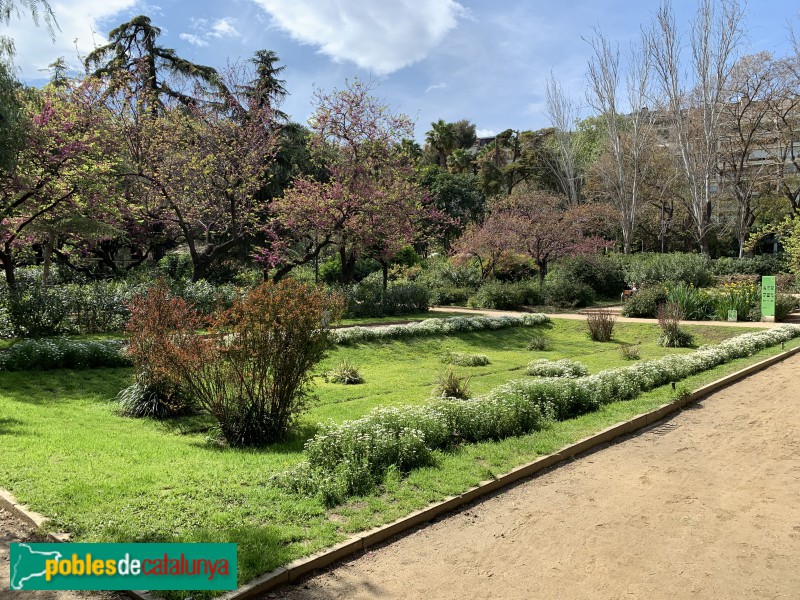 Barcelona - Jardins del Turó Parc (Foto: Albert Esteves, 2019) Barcelona - Jardins del Turó Parc