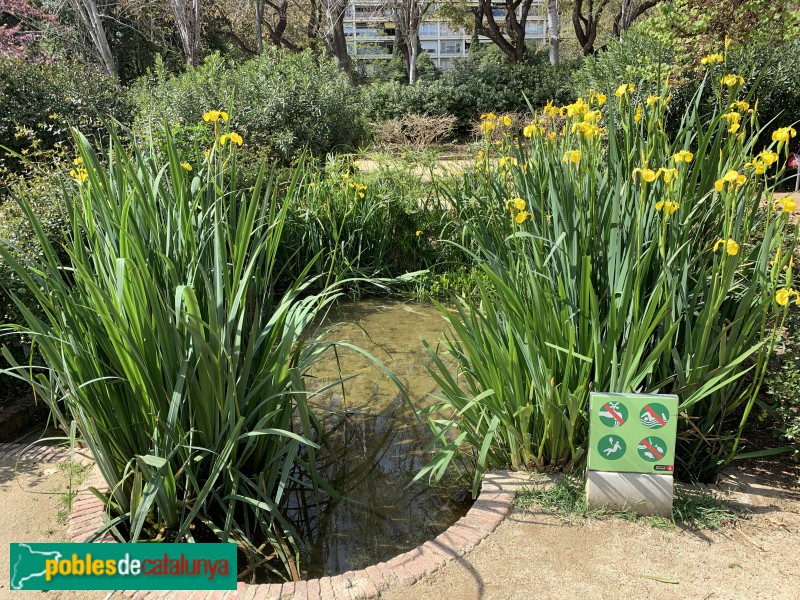 Barcelona - Jardins del Turó Parc (Foto: Albert Esteves, 2019) Barcelona - Jardins del Turó Parc