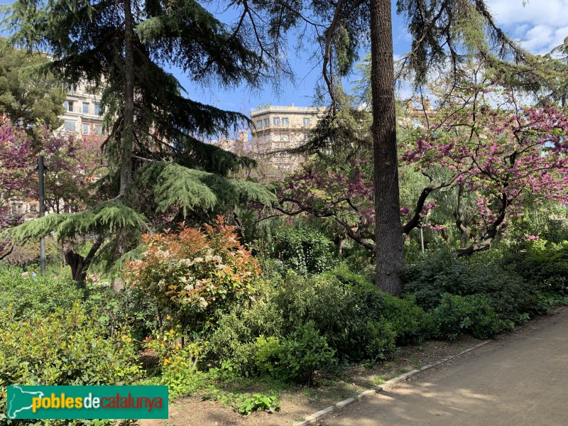 Barcelona - Jardins del Turó Parc (Foto: Albert Esteves, 2019) Barcelona - Jardins del Turó Parc
