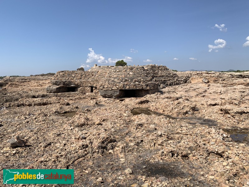 L'Ametlla de Mar - Niu de metralladores de Sant Jordi (Foto: Albert Esteves, 2019) L'Ametlla de Mar - Niu de metralladores de Sant Jordi