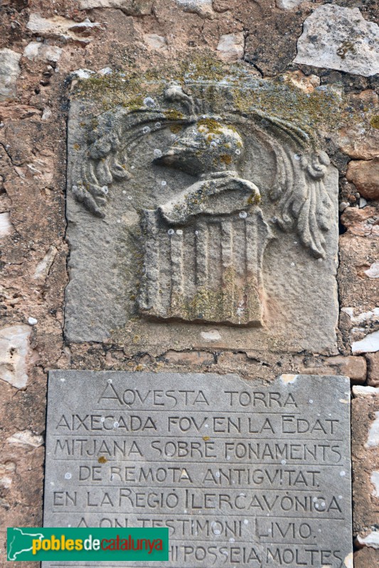 L'Aldea - Ermita de la Mare de Déu de l'Aldea (Foto: Albert Esteves, 2019) L'Aldea - Ermita de la Mare de Déu de l'Aldea