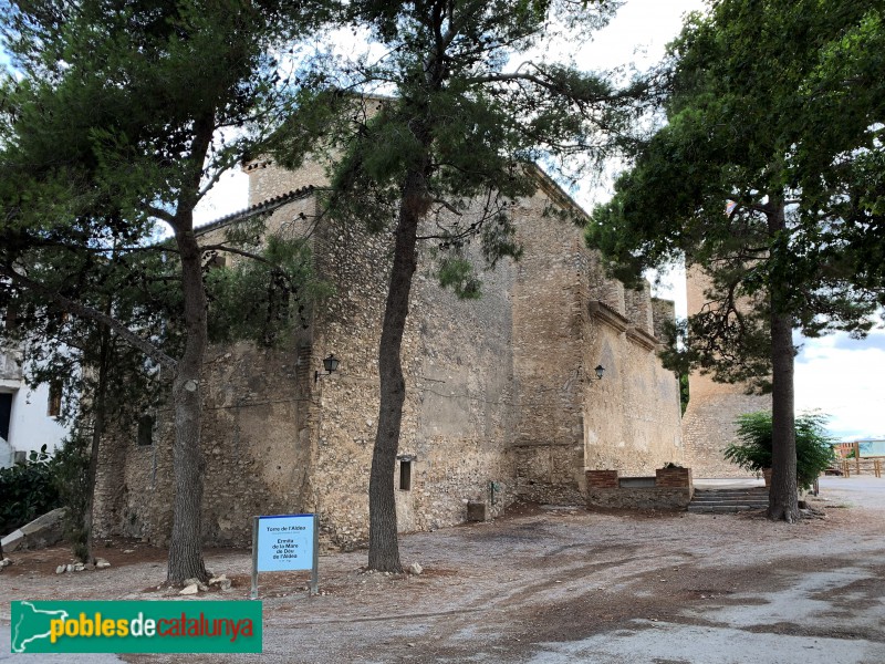 L'Aldea - Ermita de la Mare de Déu de l'Aldea (Foto: Albert Esteves, 2019) L'Aldea - Ermita de la Mare de Déu de l'Aldea