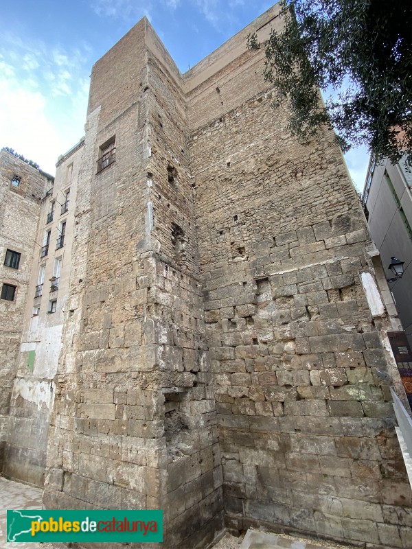 Barcelona - Muralles del carrer Sotstinent Navarro