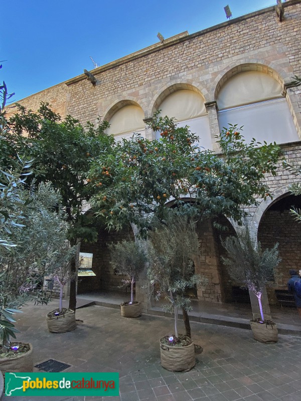 Barcelona - Verger del Palau (Foto: Albert Esteves, 2020) Barcelona - Verger del Palau