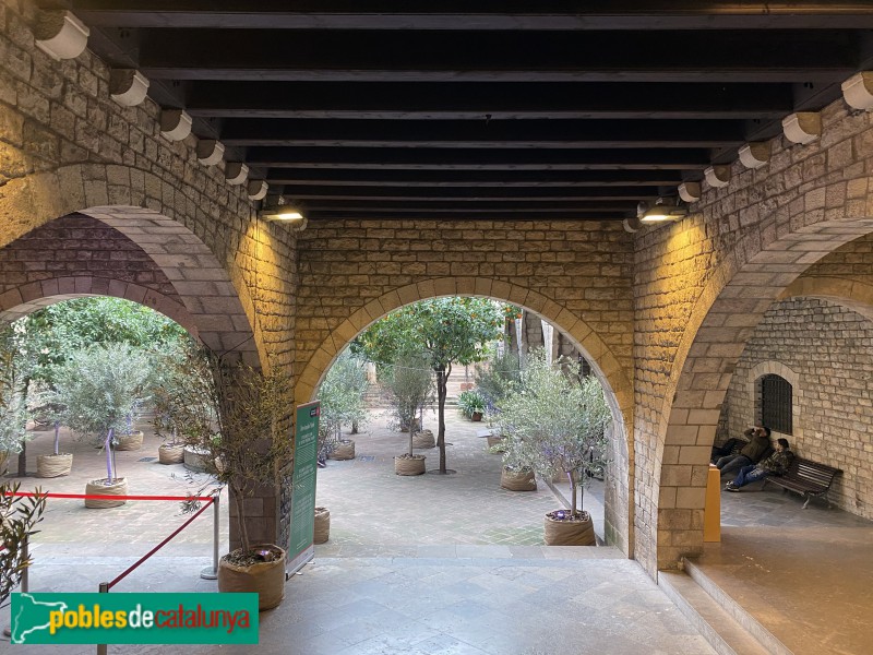 Barcelona - Verger del Palau (Foto: Albert Esteves, 2020) Barcelona - Verger del Palau