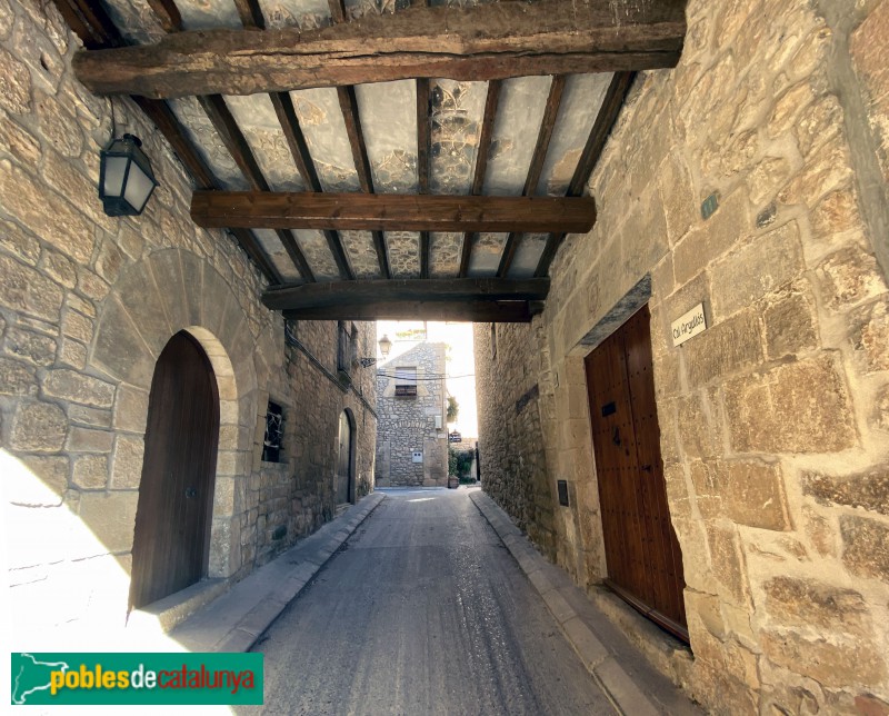 El Vilosell - Portal de la bassa (Foto: Albert Esteves, 2020) El Vilosell - Portal de la bassa