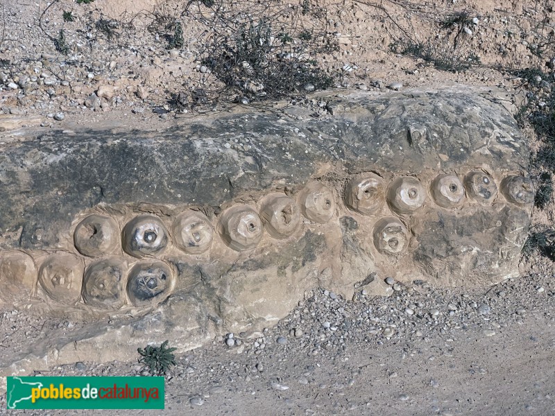 Cervià de les Garrigues - Banc de Tenalles (Foto: Albert Esteves, 2020) Cervià de les Garrigues - Banc de Tenalles