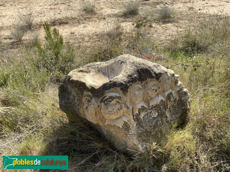 Cervià de les Garrigues - Somieig 2 (Foto: Albert Esteves, 2020) Cervià de les Garrigues - Somieig 2