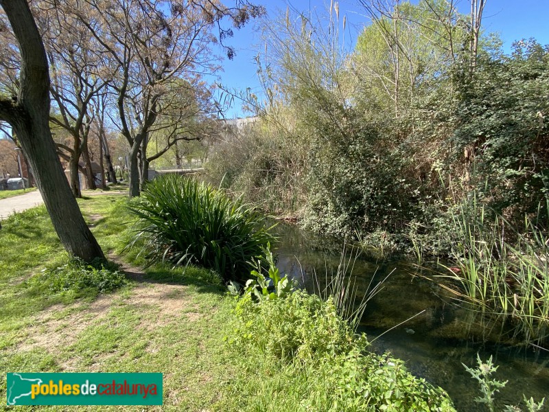 Barcelona - Rec Comtal a Vallbona (Foto: Albert Esteves, 2021) Barcelona - Rec Comtal a Vallbona