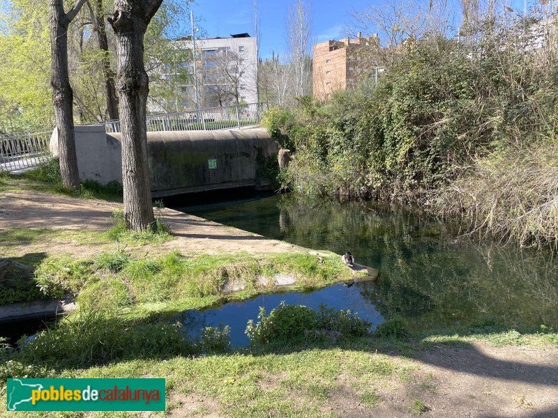 Barcelona - Rec Comtal a Vallbona (Foto: Albert Esteves, 2021) Barcelona - Rec Comtal a Vallbona