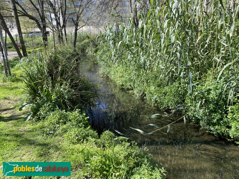 Barcelona - Rec Comtal a Vallbona (Foto: Albert Esteves, 2021) Barcelona - Rec Comtal a Vallbona