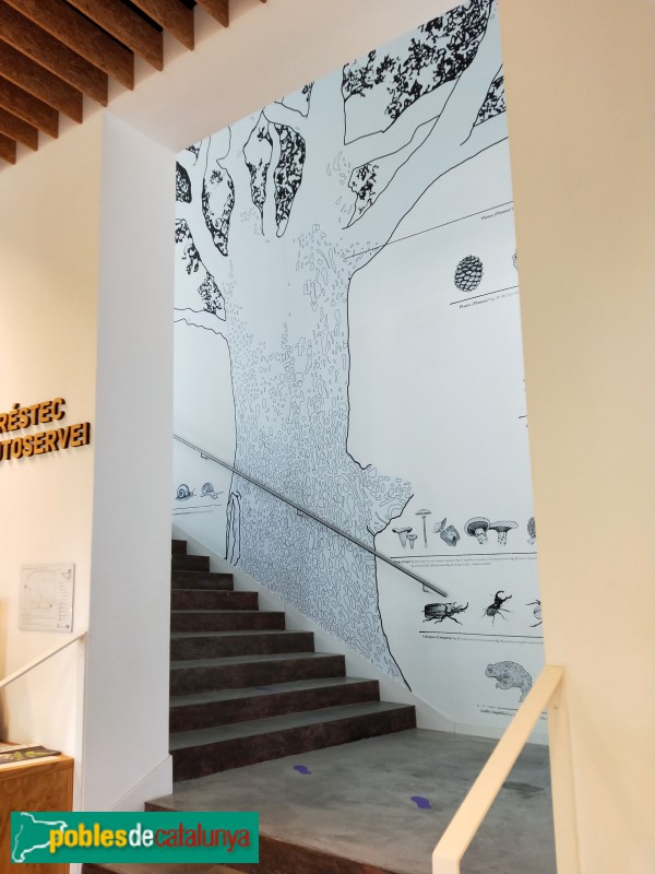 Begues - Biblioteca la Ginesta (Foto: Anna Corcoll, 2021) Begues - Biblioteca la Ginesta