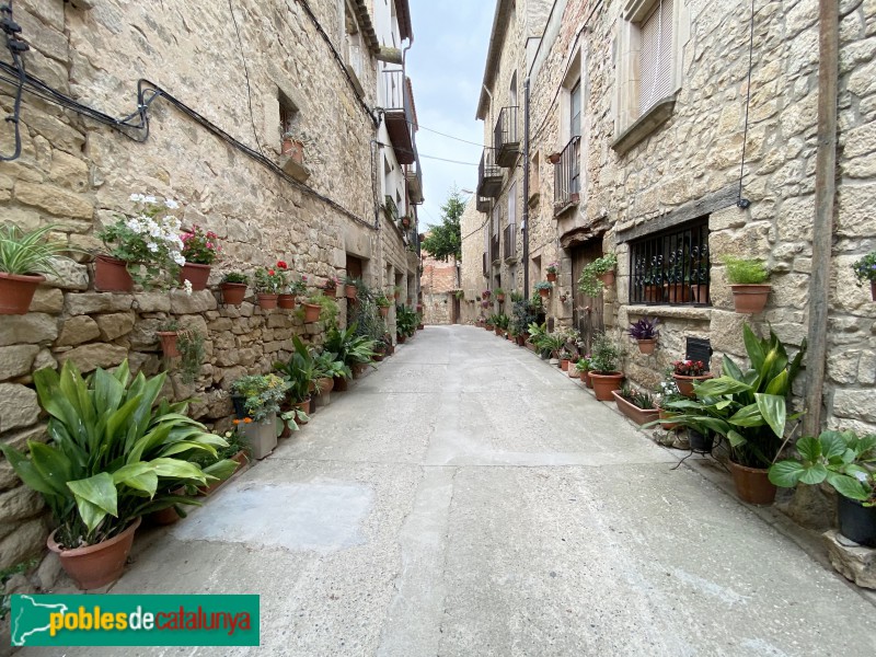 Vinaixa - Carrer del nucli antic (Foto: Albert Esteves, 2021) Vinaixa - Carrer del nucli antic