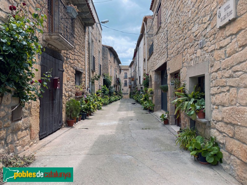 Vinaixa - Raval de les Flors (Foto: Albert Esteves, 2021) Vinaixa - Raval de les Flors