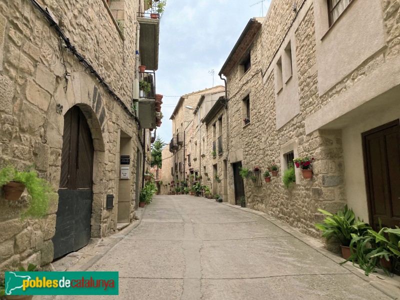 Vinaixa - Carrer del nucli antic (Foto: Albert Esteves, 2021) Vinaixa - Carrer del nucli antic