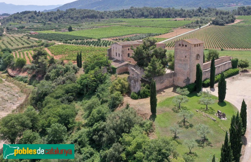 Vimbodí - Milmanda (Foto: Francesc Vidal-Barraquer, 2021) Vimbodí - Milmanda