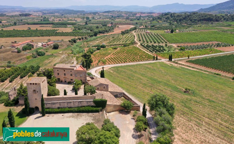 Vimbodí - Milmanda (Foto: Francesc Vidal-Barraquer, 2021) Vimbodí - Milmanda