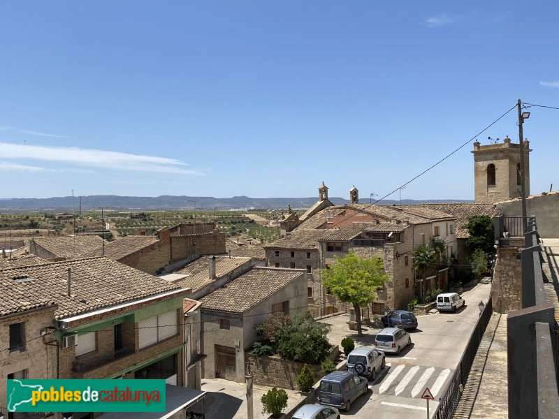 Arbeca des del castell (Foto: Albert Esteves, 2021) Arbeca des del castell