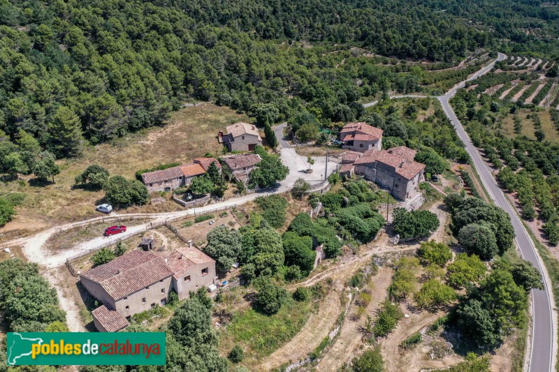 Mont-ral - El Bosquet (Foto: Francesc Vidal-Barraquer, 2020) Mont-ral - El Bosquet