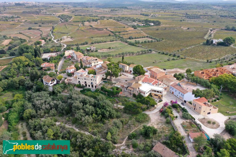 Renau (Foto: Francesc Vidal-Barraquer, 2021) Renau