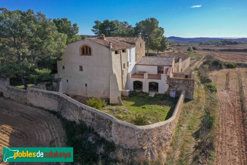 Salomó - La Polla-rossa (Foto: Francesc Vidal-Barraquer, 2021) Salomó - La Polla-rossa