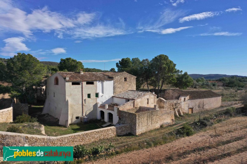 Salomó - La Polla-rossa (Foto: Francesc Vidal-Barraquer, 2021) Salomó - La Polla-rossa