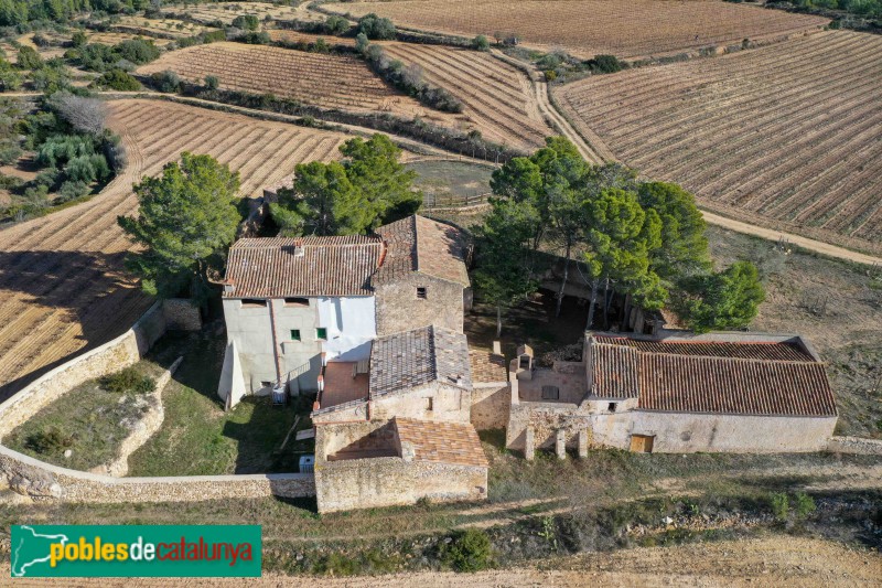 Salomó - La Polla-rossa (Francesc Vidal-Barraquer) (4) (Foto: Francesc Vidal-Barraquer, 2021) Salomó - La Polla-rossa (Francesc Vidal-Barraquer) (4)