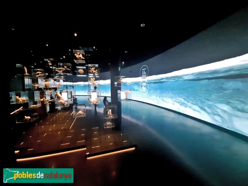 Barcelona - Torre Glòries. Hipermirador (Foto: Sergi Suárez, 2022) Barcelona - Torre Glòries. Hipermirador