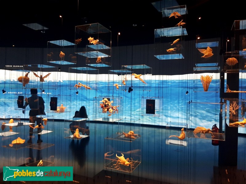 Barcelona - Torre Glòries. Hipermirador (Foto: Sergi Suárez, 2022) Barcelona - Torre Glòries. Hipermirador