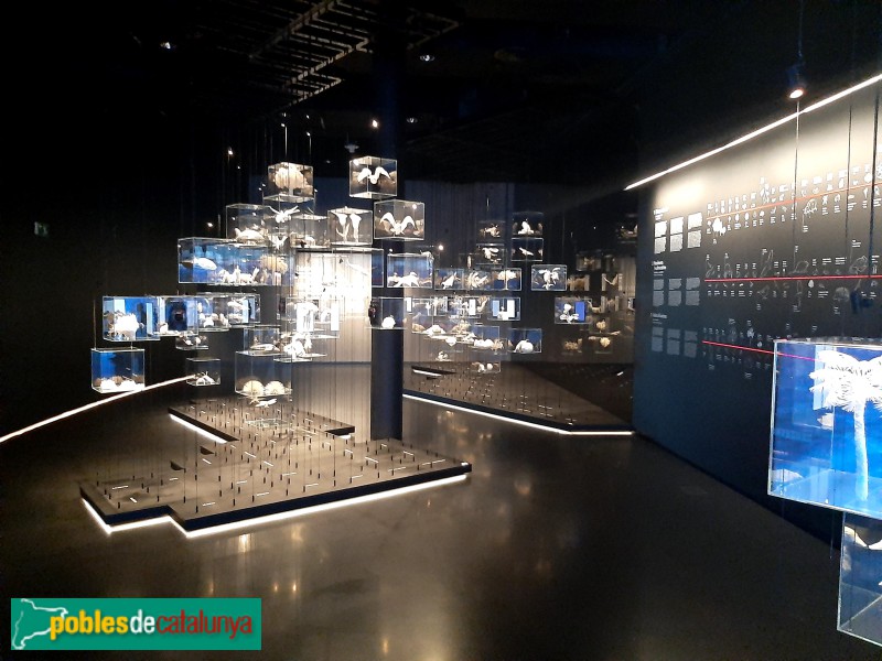 Barcelona - Torre Glòries. Hipermirador (Foto: Sergi Suárez, 2022) Barcelona - Torre Glòries. Hipermirador