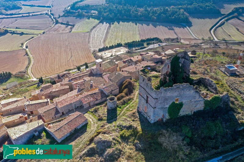 Savallà del Comtat (Foto: Francesc Vidal-Barraquer, 2023) Savallà del Comtat