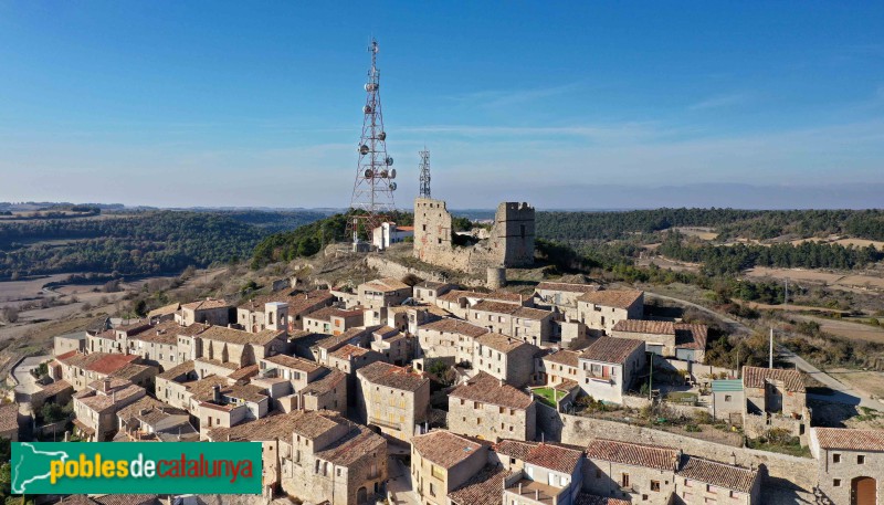 Savallà del Comtat (Foto: Francesc Vidal-Barraquer, 2023) Savallà del Comtat