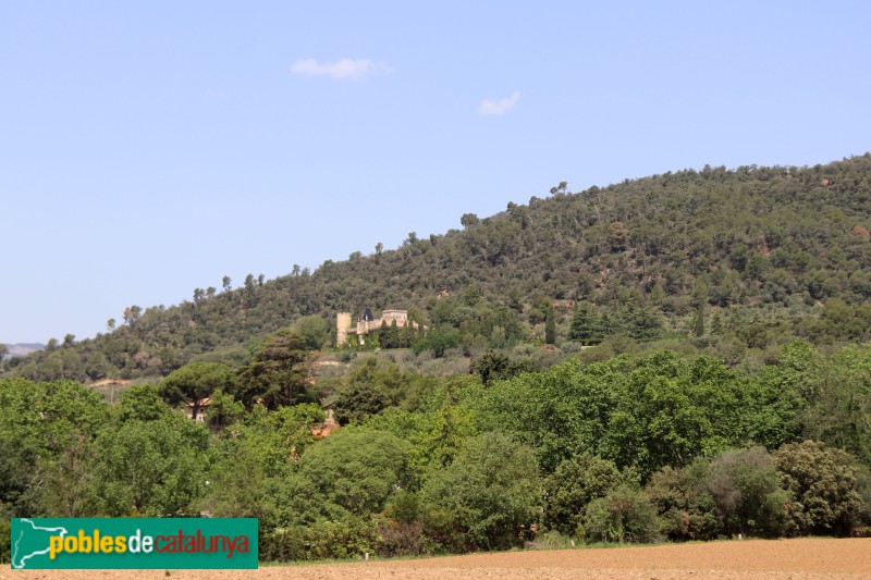 Cànoves i Samalús - Castell d'en Bori o de Samalús