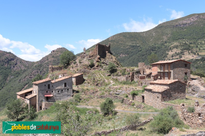 Peranera (Foto: Albert Esteves, 2023) Peranera