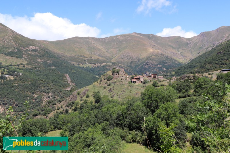 Peranera (Foto: Albert Esteves, 2023) Peranera