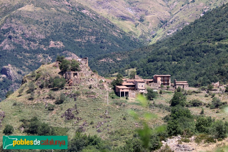 Peranera (Foto: Albert Esteves, 2023) Peranera