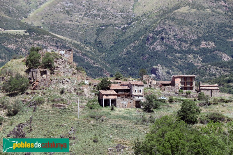 Peranera (Foto: Albert Esteves, 2023) Peranera