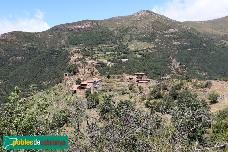 Peranera (Foto: Albert Esteves, 2023) Peranera