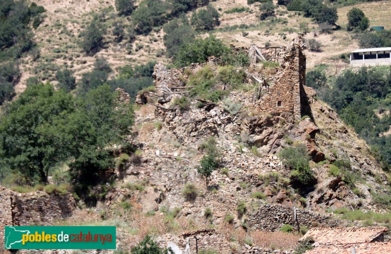 Peranera (Foto: Albert Esteves, 2023) Peranera