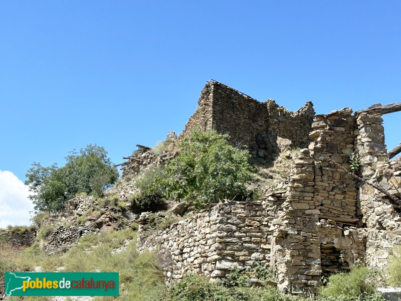 Peranera (Foto: Albert Esteves, 2023) Peranera