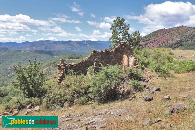 Peranera (Foto: Albert Esteves, 2023) Peranera