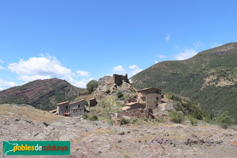 Peranera (Foto: Albert Esteves, 2023) Peranera