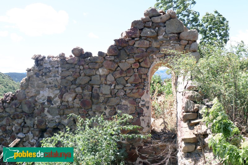 Peranera (Foto: Albert Esteves, 2023) Peranera