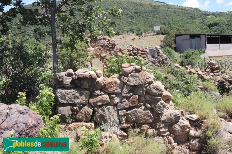 Peranera (Foto: Albert Esteves, 2023) Peranera