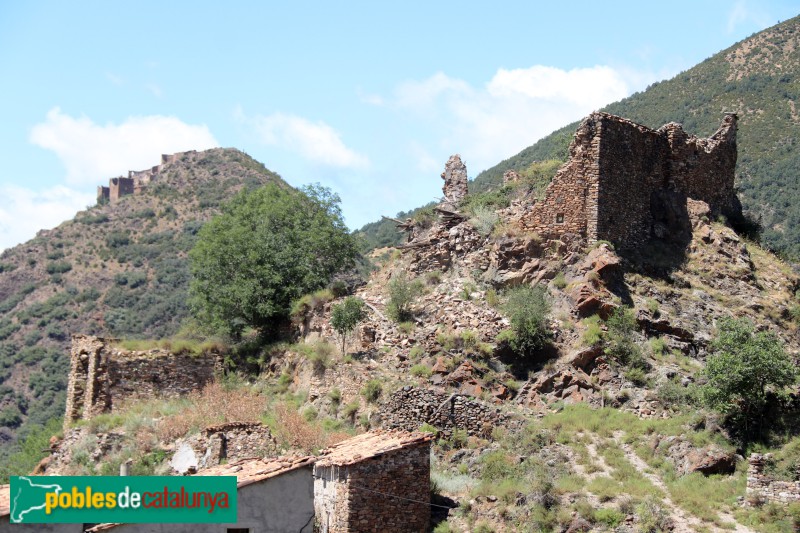 Peranera (Foto: Albert Esteves, 2023) Peranera