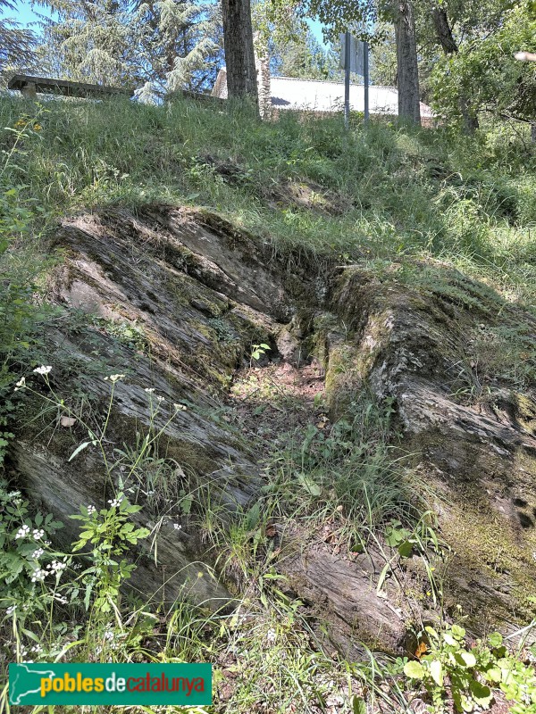 Vilaller - Necròpolis de Riupedrós (Foto: Albert Esteves, 2023) Vilaller - Necròpolis de Riupedrós