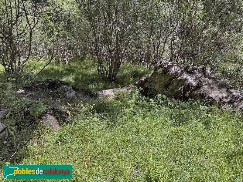 Vilaller - Necròpolis de Riupedrós (Foto: Albert Esteves, 2023) Vilaller - Necròpolis de Riupedrós